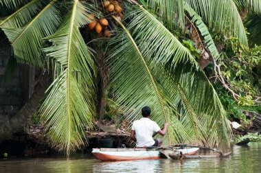 Sri Lankian fisherman in a boat on a river clipart