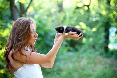 şirin kedi yavrusu ile genç ve güzel beyaz kız