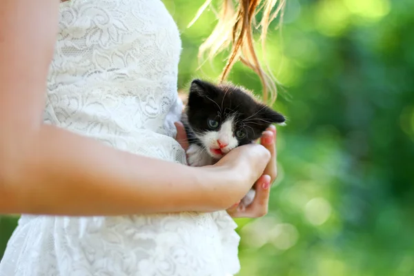 Красивая молодая белая девушка с милым котенком — стоковое фото