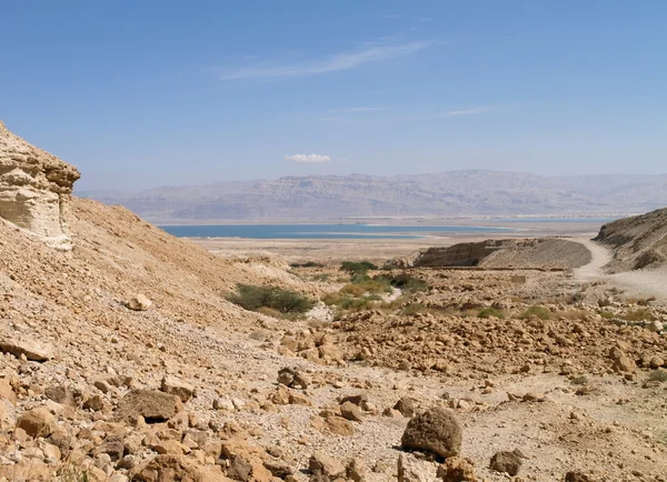 Mar Morto e Deserto — Fotografia de Stock