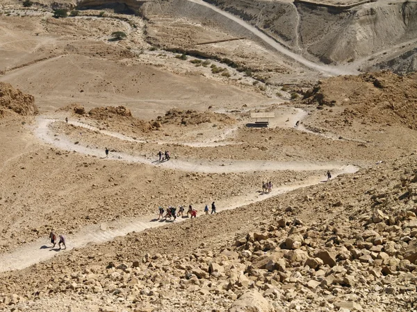 Chemin du serpent à Masada — Photo