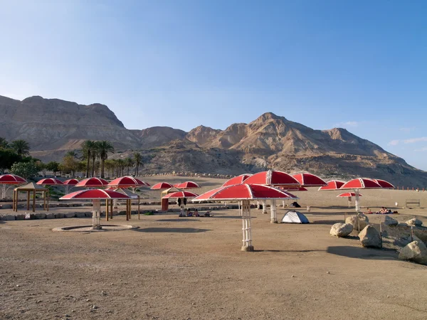 Döda havet stranden — Stockfoto