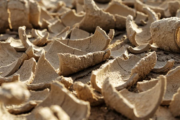 Dried mud in a drought — Stock Photo, Image
