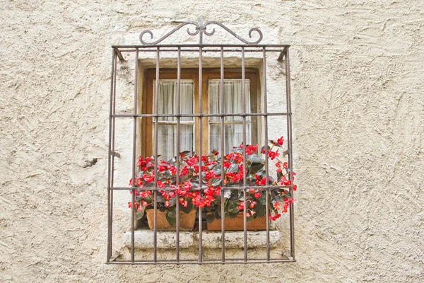 Παλιό παράθυρο με λουλούδια — Φωτογραφία Αρχείου