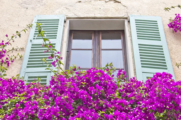 Janela em Provence — Fotografia de Stock
