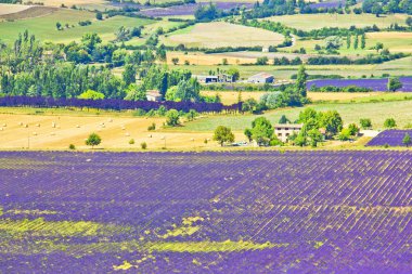 Güney Fransa'da görünümünü