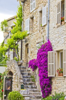 Provence, south of France clipart