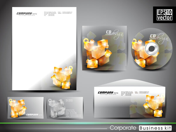 Professional corporate identity kit or business kit with artisti