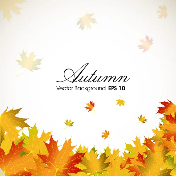 Podzimní listí pozadí s prostorem pro váš text. EPS 10. — Stockový vektor