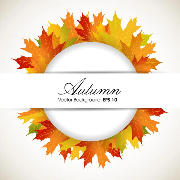 Podzimní listí pozadí. EPS 10. — Stockový vektor