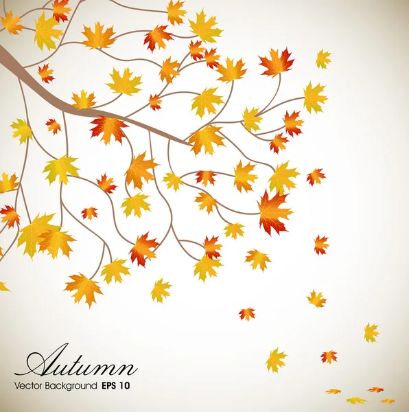 Autumn leaves background with space for your text. EPS 10. — Stock Vector