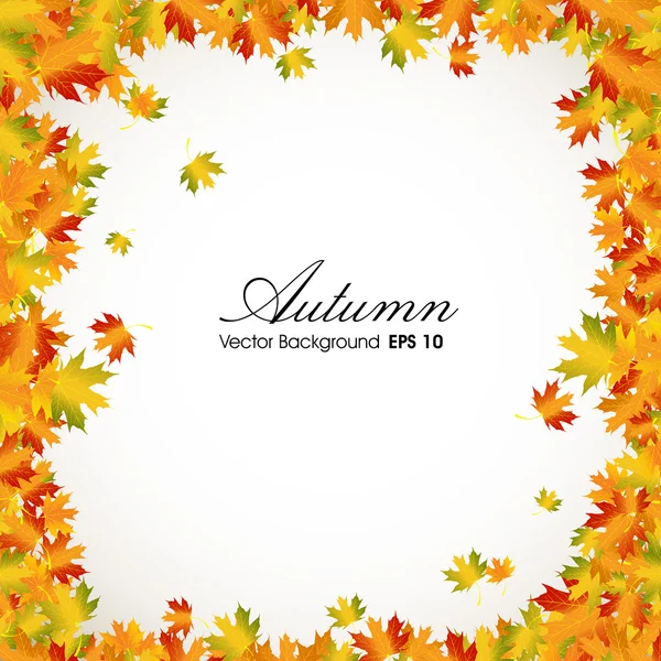 Herbst Blätter Hintergrund mit Platz für Ihren Text. Folge 10. — Stockvektor