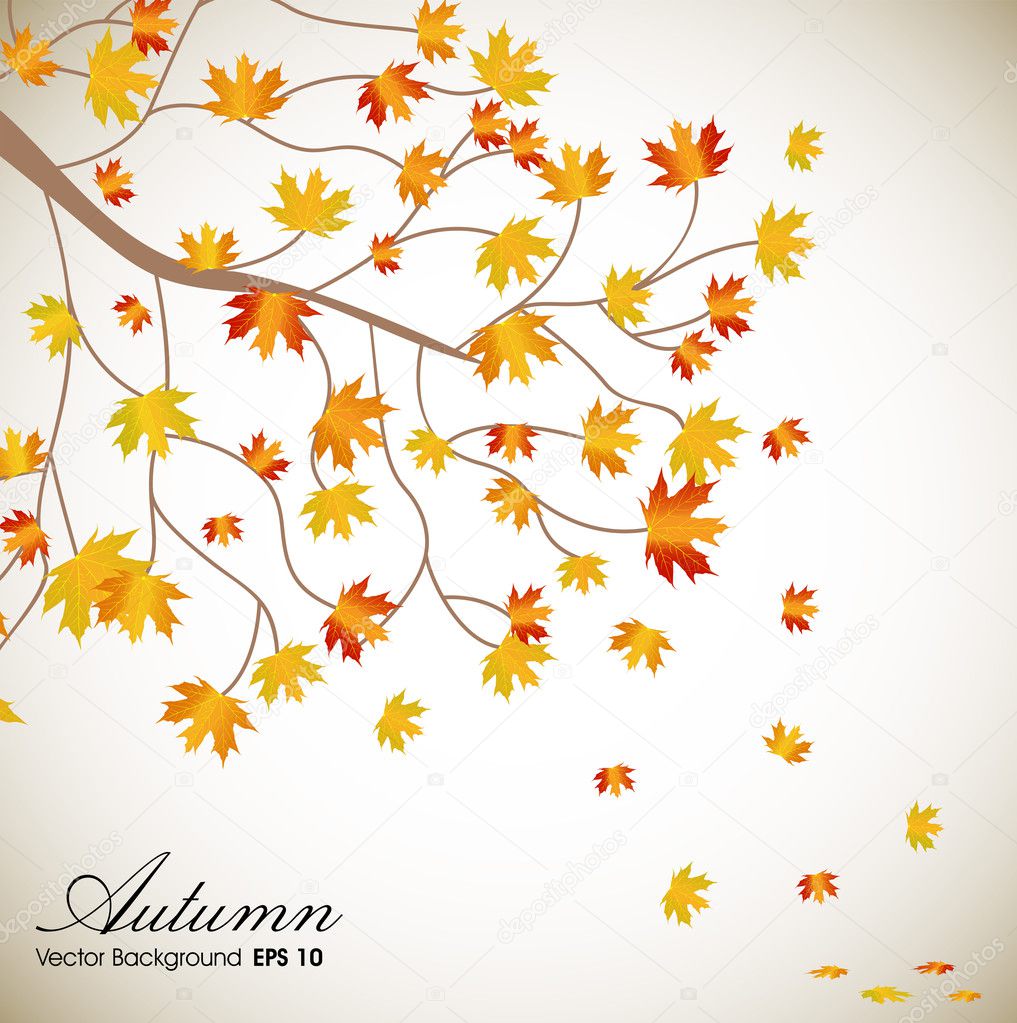 Autumn leaves background with space for your text. EPS 10.