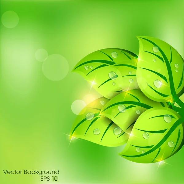 Gröna blad abstrakt bakgrund. EPS 10. — Stock vektor