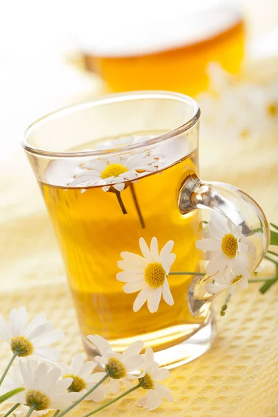 Cup of herbal tea with chamomile flowers — Stock Photo, Image
