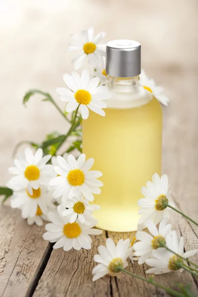 Essential oil and camomile flowers — Stock Photo, Image