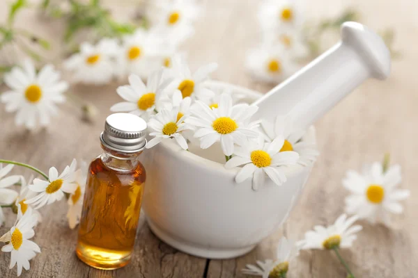 stock image Essential oil and camomile flowers in mortar