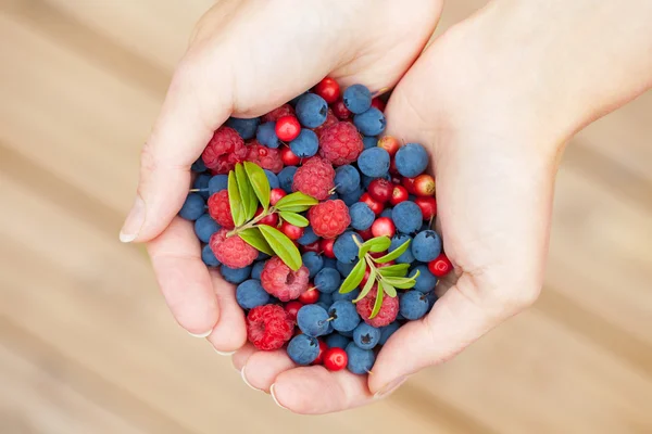 Руки со свежими ягодами — стоковое фото
