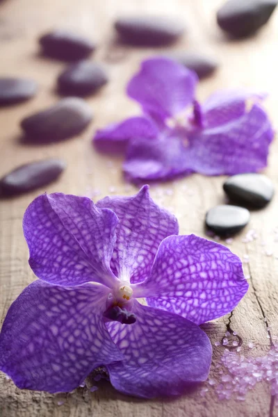Orchidej květina pro spa — Stock fotografie