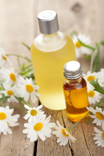 Essential oil and camomile flowers — Stock Photo, Image