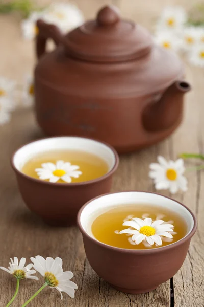 Зелений чай з квітами ромашки — стокове фото