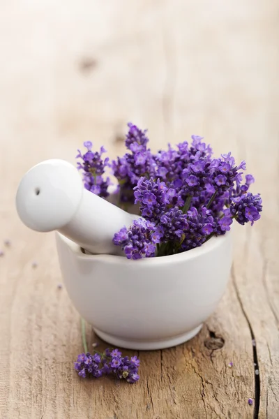 Fresh lavender in mortar — Stock Photo, Image