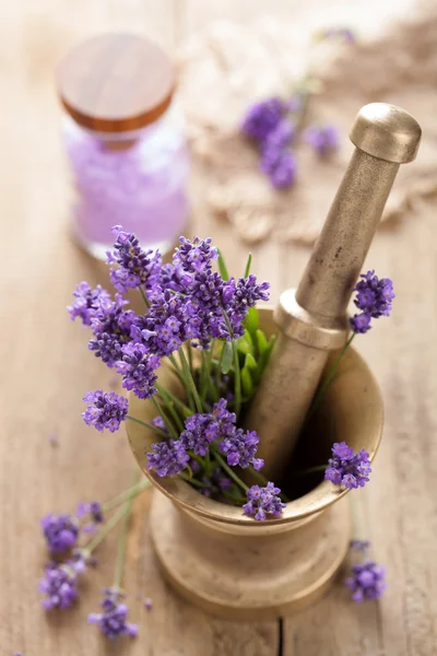 Mortar with fresh lavender — Stock Photo, Image