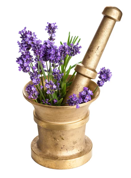 Mortar with lavender isolated — Stock Photo, Image