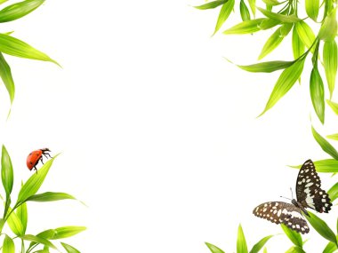 Ladybugs sitting on bamboo leaves clipart