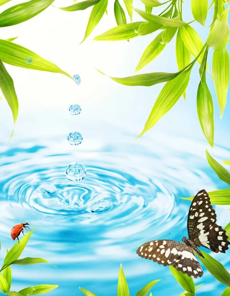 Vatten droppar folling från en bambu blad — Stockfoto