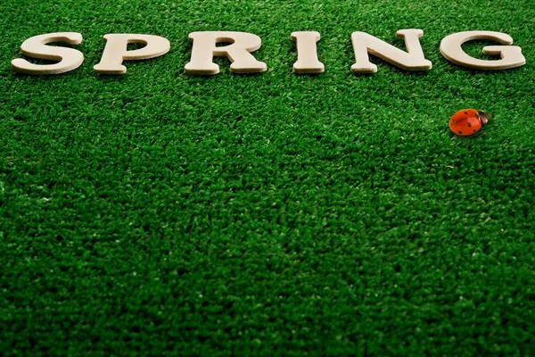 Na wiosnę słowa napisane na zielonym tle — Zdjęcie stockowe