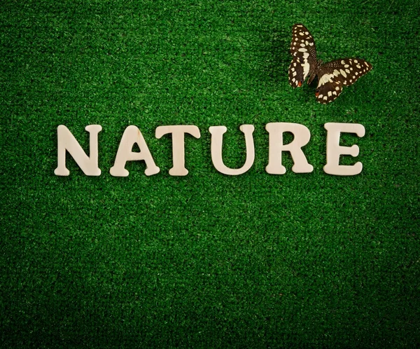Ordet natur skriven på grön bakgrund — Stockfoto