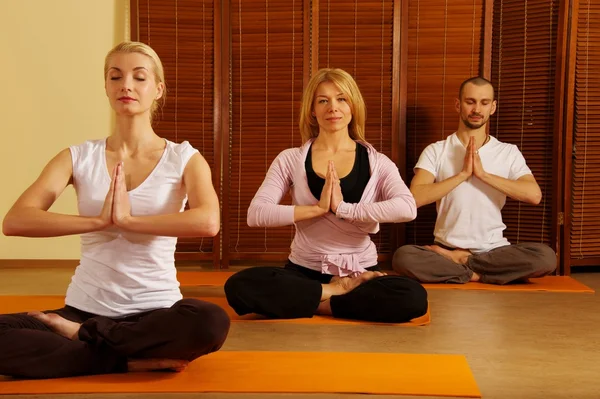 Groep van het doen van yoga oefening — Stockfoto
