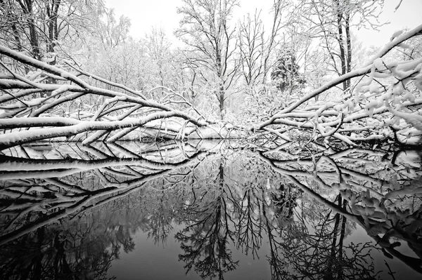 Güzel bir kış günü — Stok fotoğraf