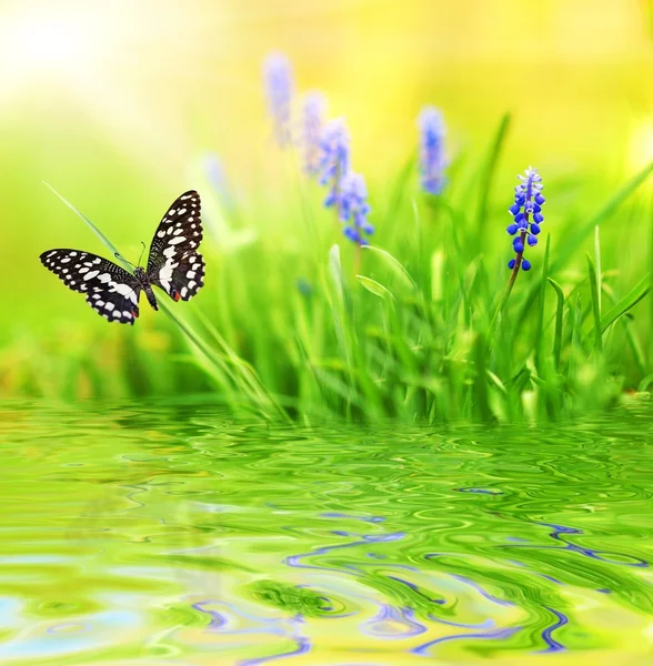 보라색 꽃 렌더링 된 물에 반영 — 스톡 사진