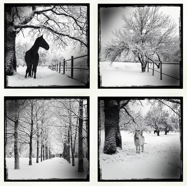 Monochrome picture of a winter set