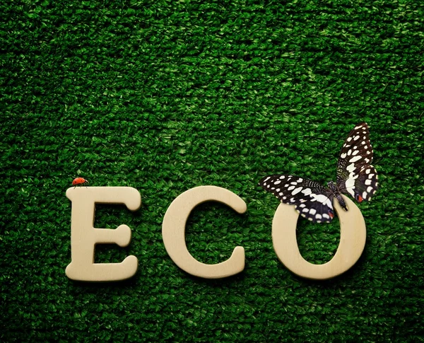 Yeşil arka plan üzerinde yazılı kelime Eko — Stok fotoğraf