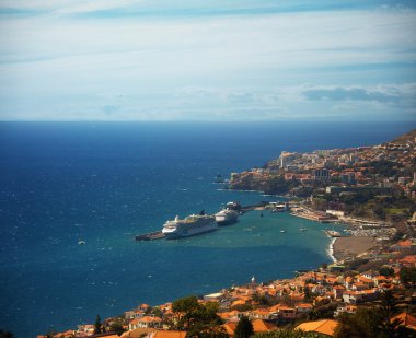 Funchal city view, Madeira. clipart