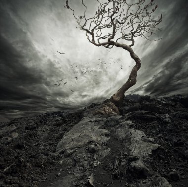 Dramatic sky over old lonely tree clipart