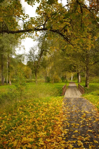 Weg in een herfst park — Stockfoto