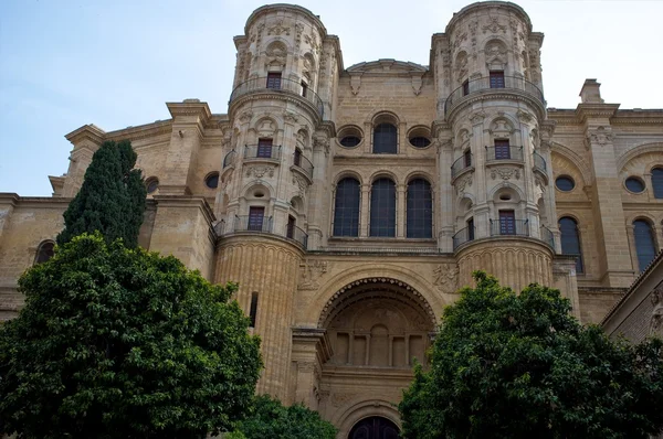 Cathédrale de l'Incarnation, Malaga, Espagne — Photo