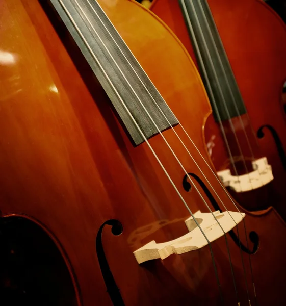 stock image Close-up of a violin