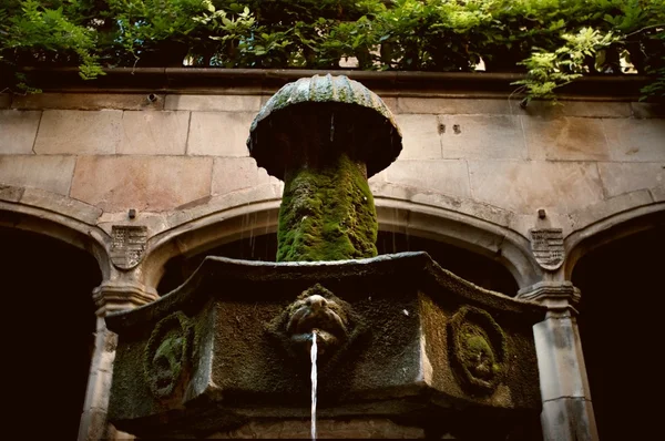 Oude fontein bedekt met algen — Stockfoto