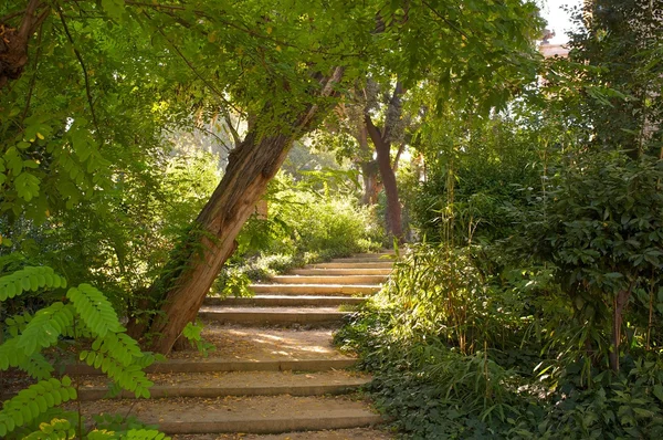 Stair in a beautiful park — Stock Photo, Image