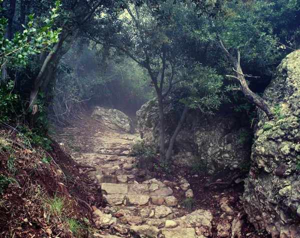 Viejo camino dañado en las montañas — Foto de Stock