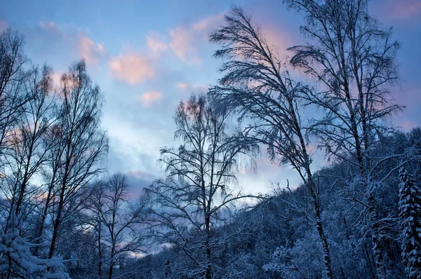 Gyönyörű téli táj — Stock Fotó