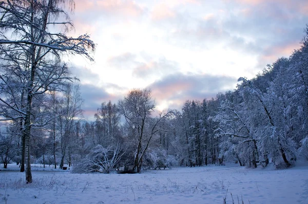 Krásná zimní krajina — Stock fotografie