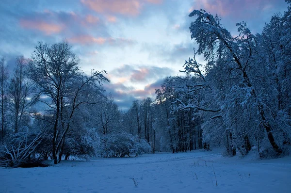 Gyönyörű téli táj. — Stock Fotó