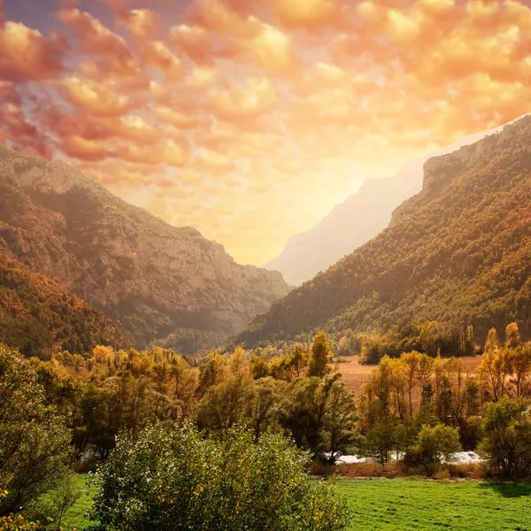 Beau paysage de forêt de montagne contre le ciel — Photo
