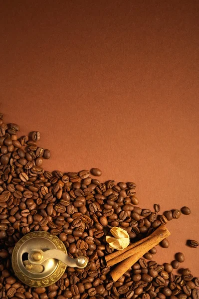 Conceito de café . — Fotografia de Stock